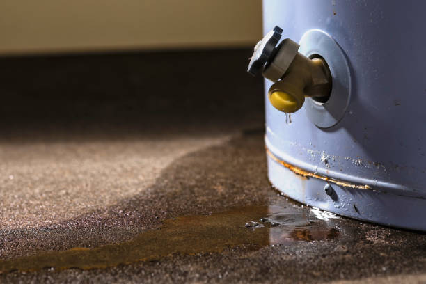 Best Mold removal after water damage  in Wildwood Crest, NJ