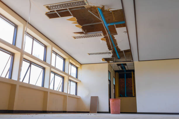 Best Water damage mitigation services  in Wildwood Crest, NJ