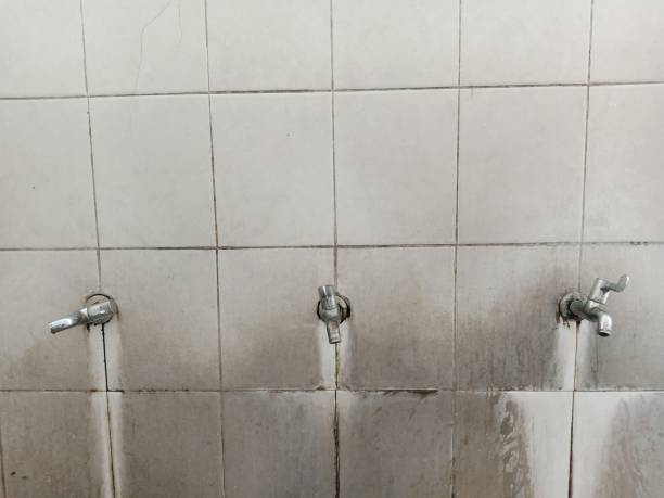 Best Water damage cleanup near me  in Wildwood Crest, NJ