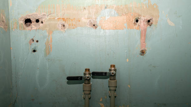 Best 24/7 water damage repair  in Wildwood Crest, NJ