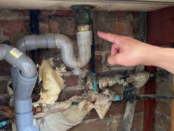 Best Sewage cleanup and water damage restoration  in Wildwood Crest, NJ