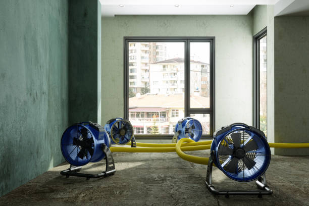 Best Water damage restoration near me  in Wildwood Crest, NJ