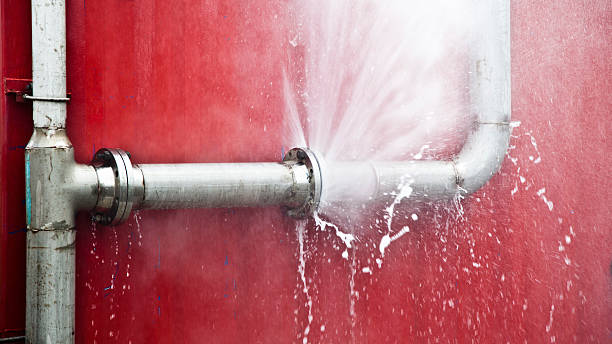 Best 24-hour water damage restoration  in Wildwood Crest, NJ